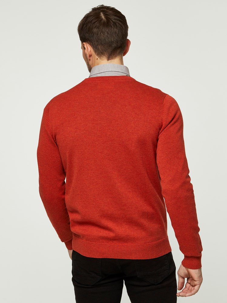 DAMMERS GENSER 7242351_AHW-HENRYCHOICE-S20-Modell-back_20789.jpg_Back||Back