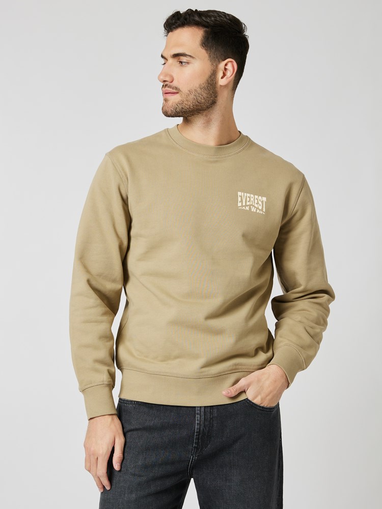 Gigant collegegenser 7504014_AEJ-WOSNOTWOS-A23-Modell-Front_chn=boys_3120_Gigant collegegenser AEJ.jpg_Front||Front